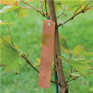 Copper Swing Labels x10